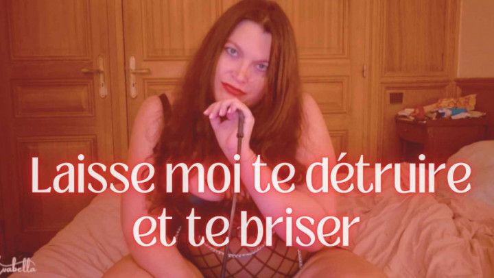 Laisse moi te détruire et te briser