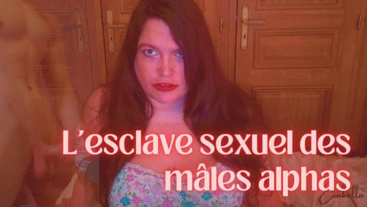 L'esclave sexuel des mâles alphas