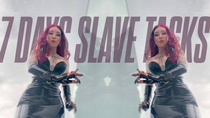 7 DAYS SLAVE TASKS