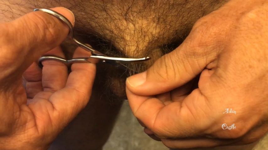 August Hairy Cock and Balls Trim Part 1