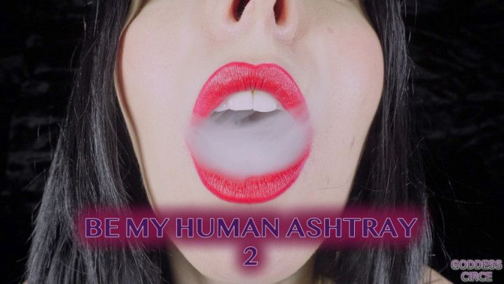 BE MY HUMAN ASHTRAY 2