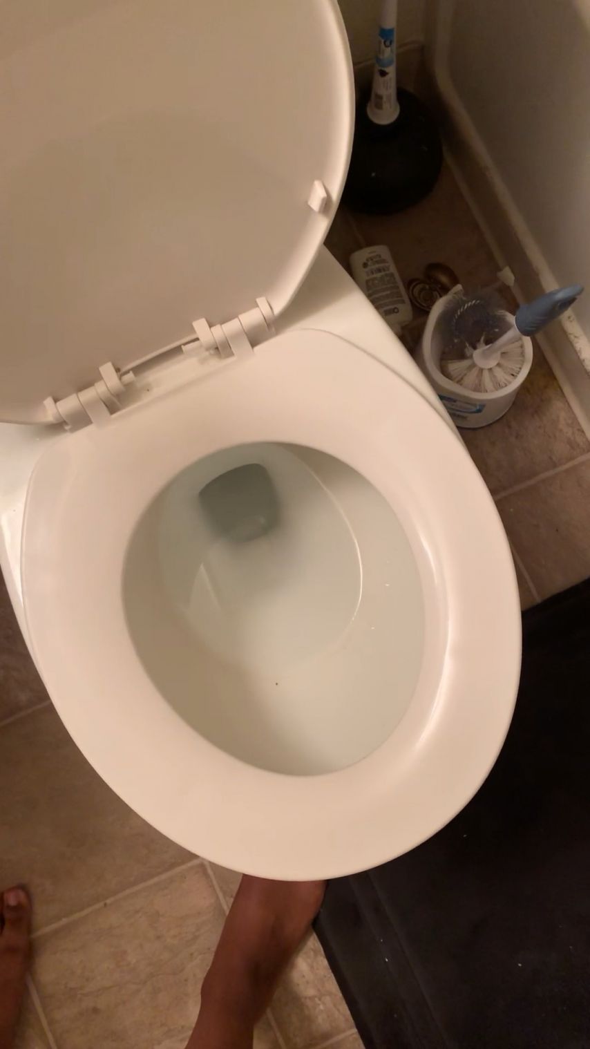 Replace This Toilet With Your Face