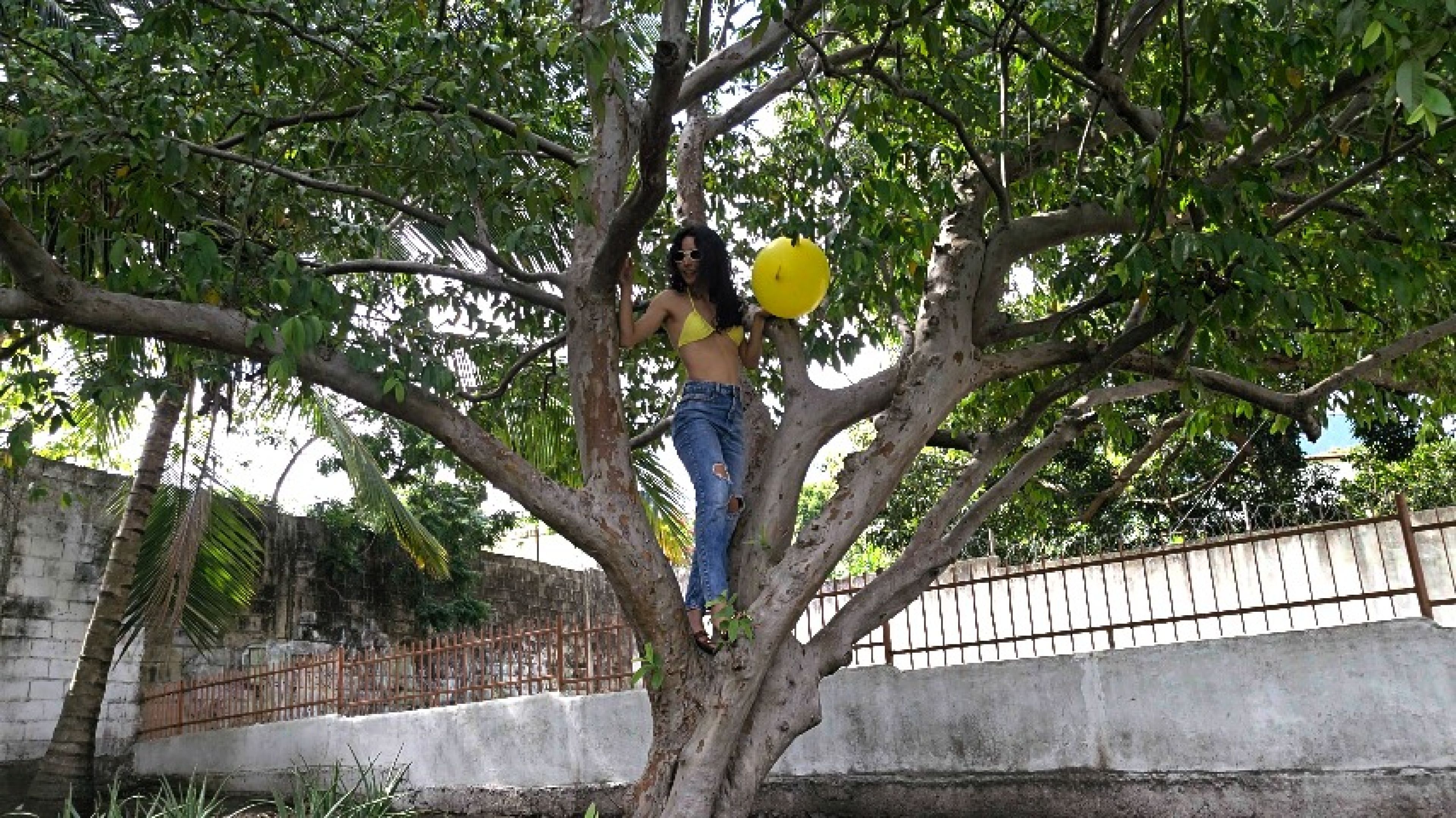 Marianna climbs a tree to pop a big balloon