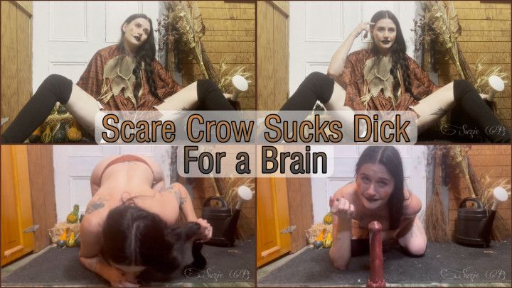 Scarecrow Sucks Dick For a Brain