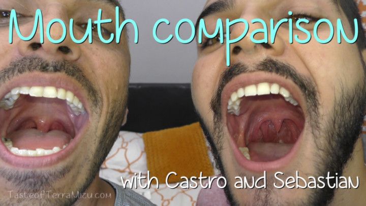 Mouth Comparison - Castro &amp; Sebastian