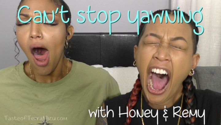 Can't Stop Yawning - Honey &amp; Remy Boo