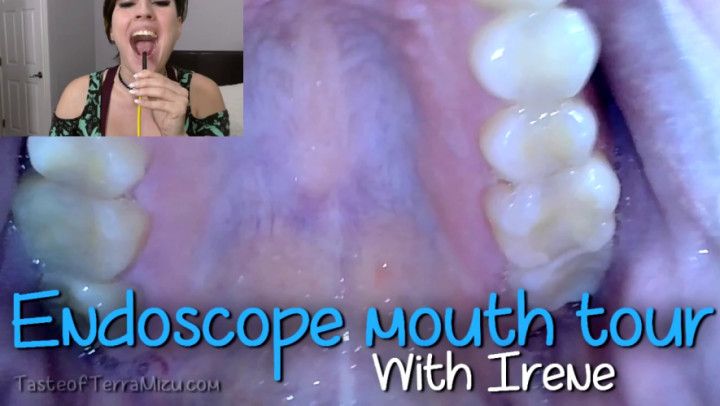 Endoscope Mouth Tour - Irene Silver