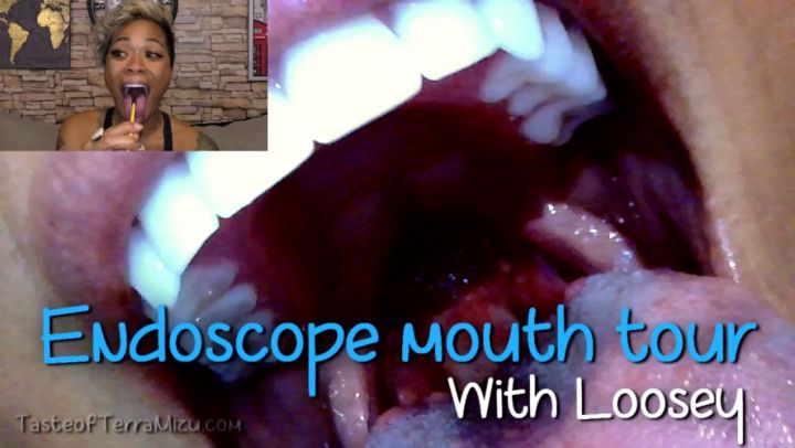 Endoscope Mouth Tour - Loosey Lu