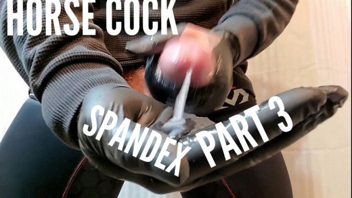 Spandex Pants Horse Cock Part 3