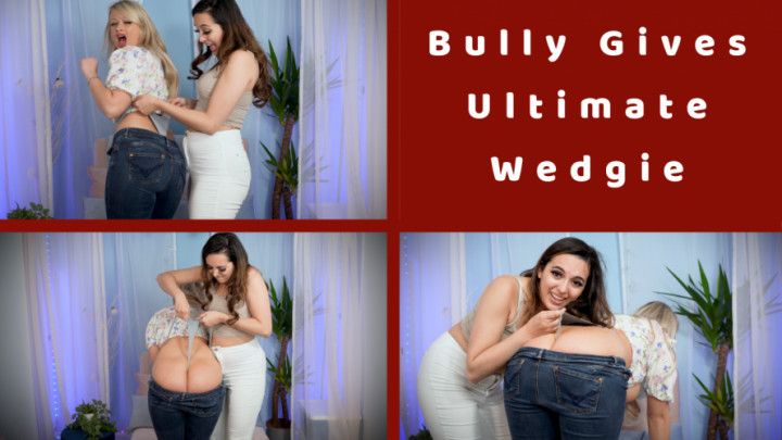 Bully Gives me the ultimate wedgie