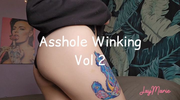 Asshole Winking Vol 2