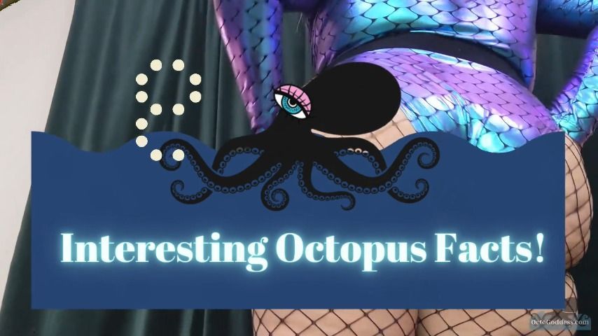 OctoGoddess 8 Interesting Octopus Facts