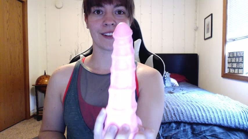 Seahorse Hankey's Toys Dildo