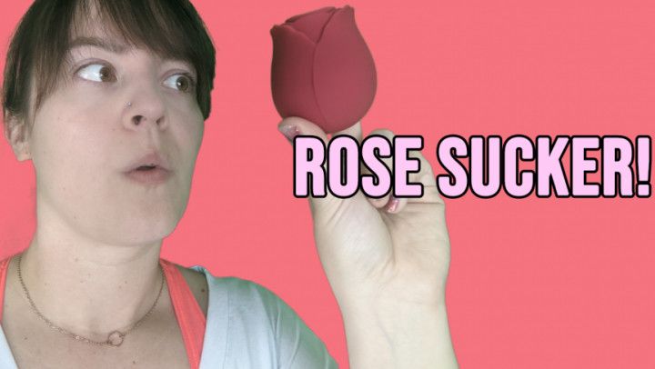 Rose Toy Sex Toy Review