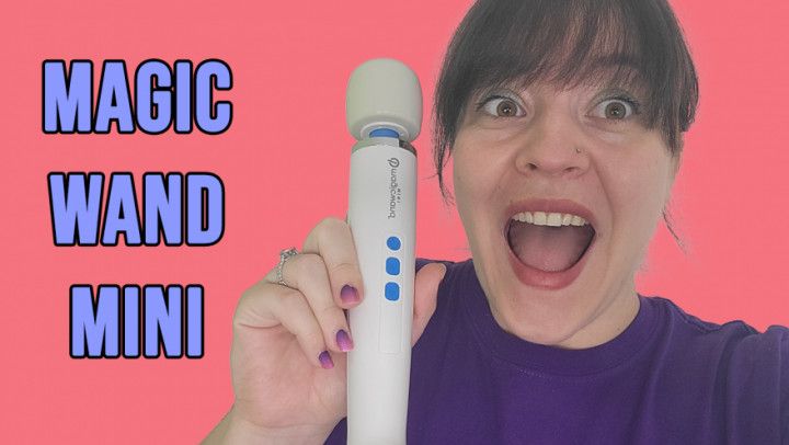 The Magic Wand Mini Rechargeable Vibe