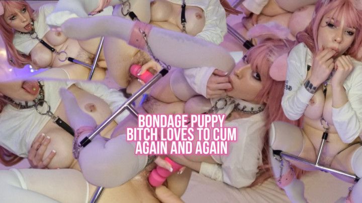 Bondage puppy bitch loves to cum again and again