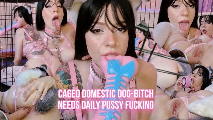 Caged domestic dog-bitch needs daily pussy fucking