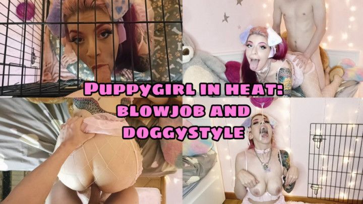 Puppygirl in heat: blowjob &amp; doggystyle
