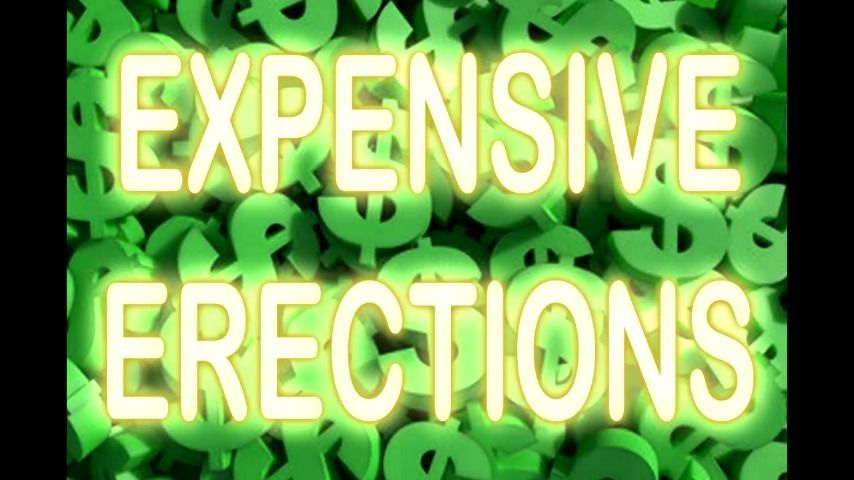 EXPENSIVE ERECTIONS