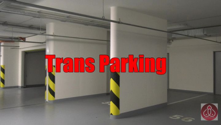 Trans Loulou Lamour - 6. Trans Parking