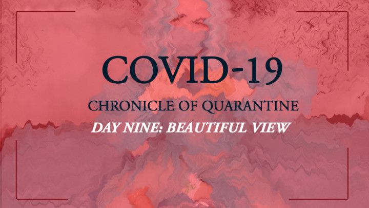 Chronicle of quarantine | day 9 - beauti