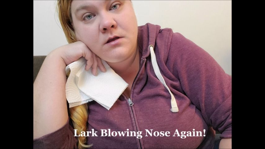 Lark Blowing Nose Again