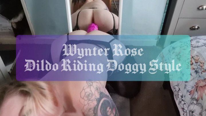 Dildo Riding Doggy Style