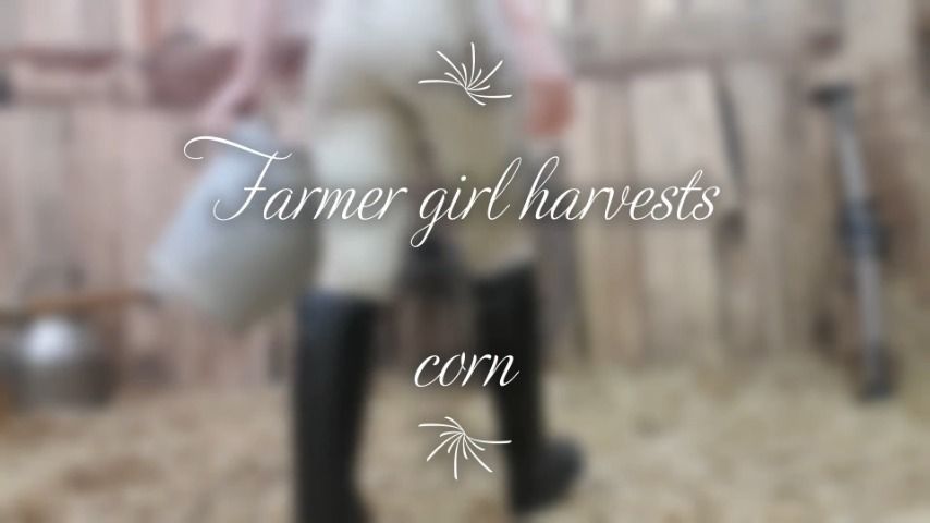 Farming girl harvests corn