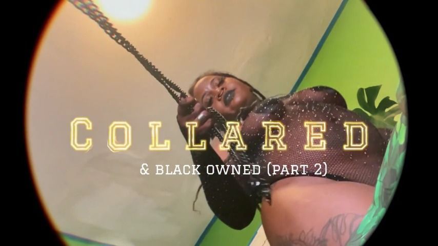 COLLARED &amp; Black owned Part 2