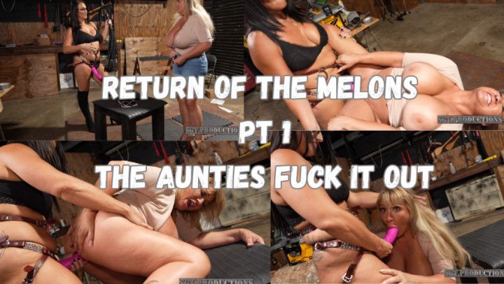 The Melons Returns Pt 1- The Aunties Fuck It Out