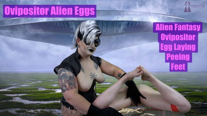 Alien Ovipositor Eggs