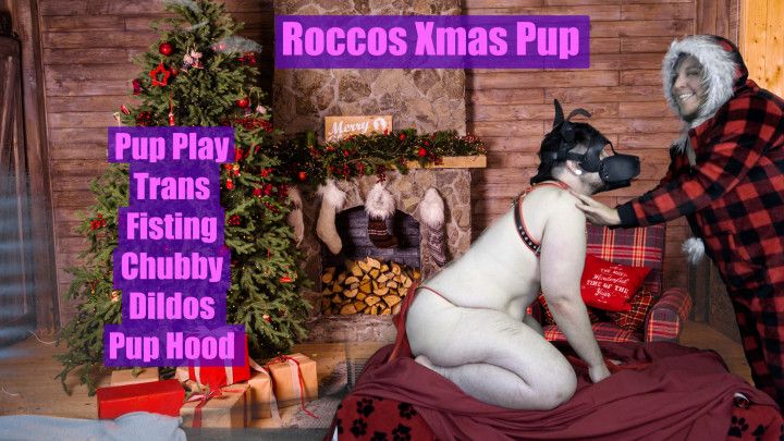 Roccos Xmas Pup