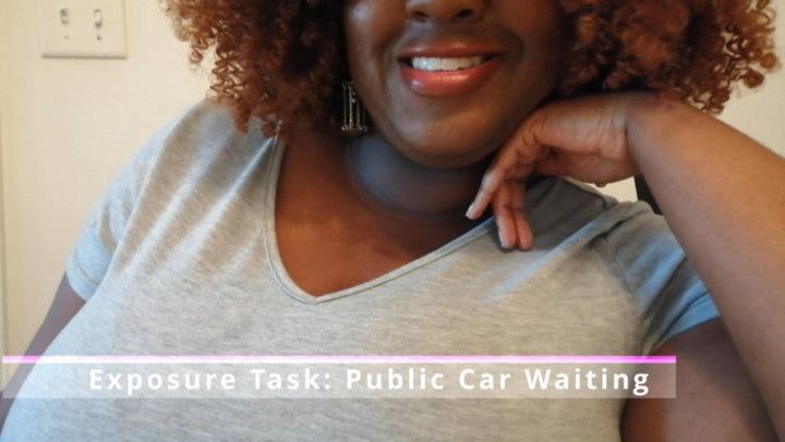 Exposure Task: Public Car Waiting