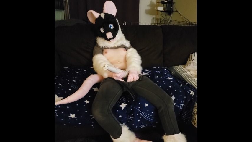 Meet my cute fursuit, Cap