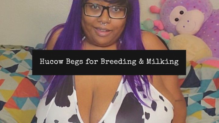 Hucow Begs for Breeding &amp; Milking