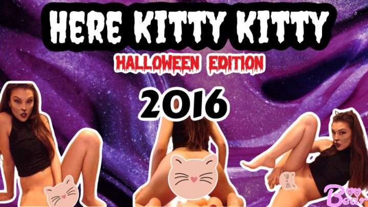 Here Kitty Kitty *Halloween Edition* 2016