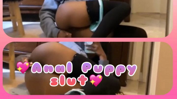 Anal Puppy Slut