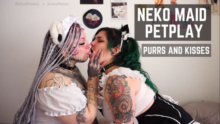 Neko maid petplay - Purrs and kisses