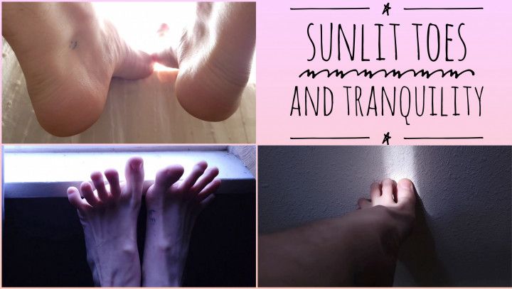 Sunlit Toes And Tranquility