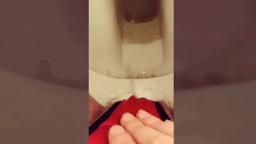 Hairy pussy wetting panty on toilet