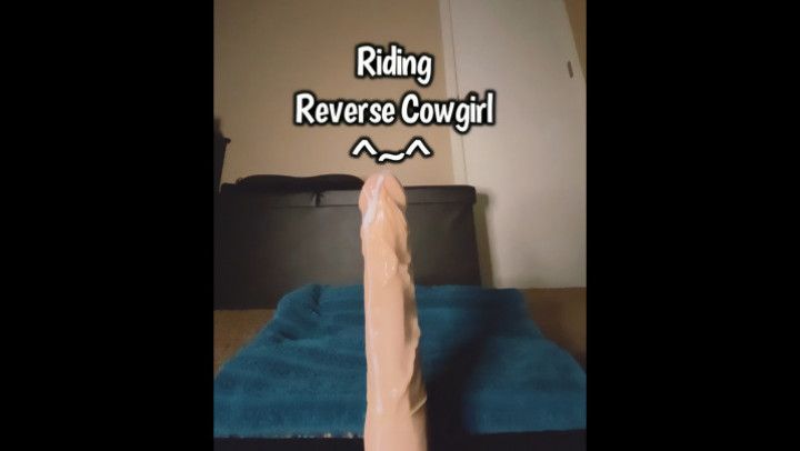 Riding Reverse Cowgirl