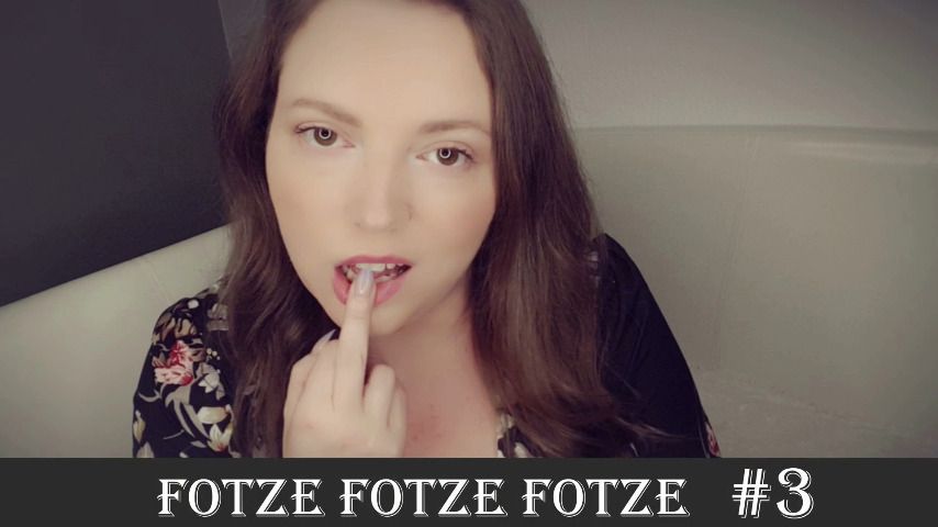 Fotze, Fotze, Fotze 3