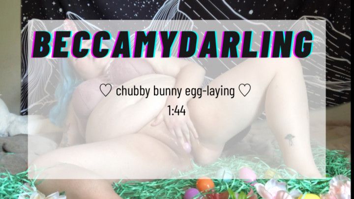 chubby bunny laying eggs