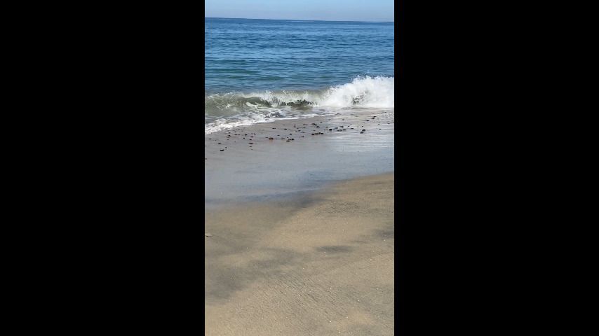 Barefoot walking on the beach