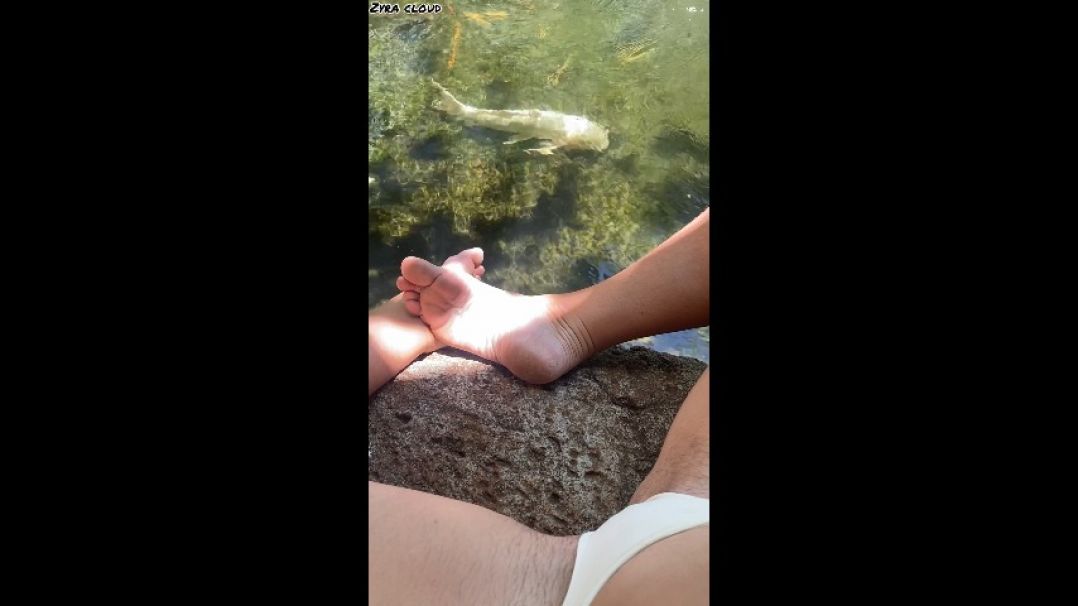 Feet and Fish