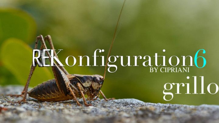 ReKonfiguration 6 - Grillo Anormal