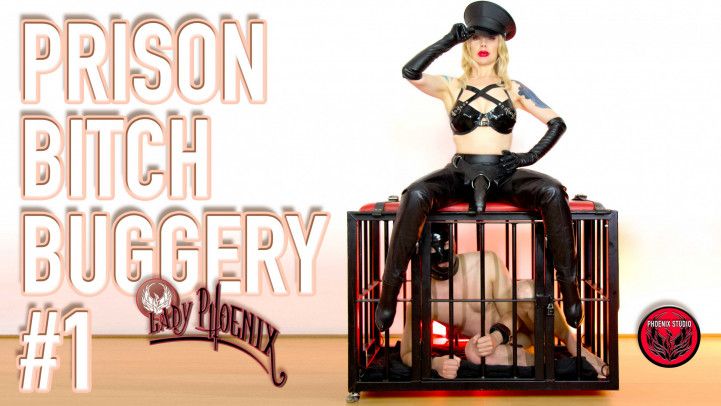 PRISON BITCH BUGGERY #1