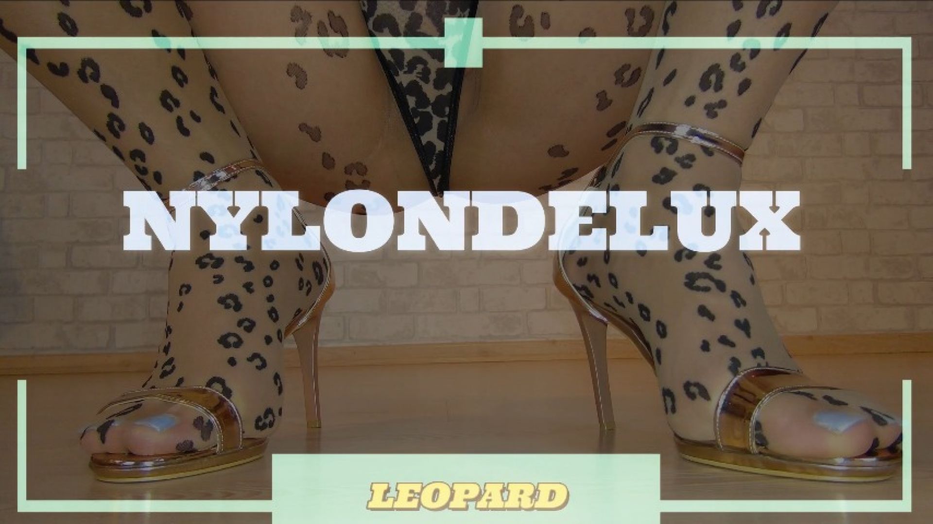 nylondelux leopard pantyhose photo set