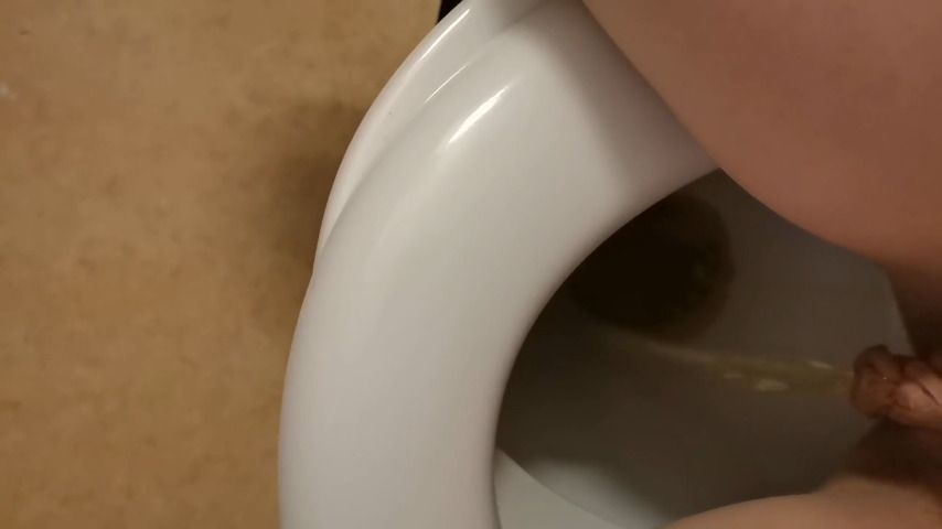 Toilet compilation for the pee lovers 1