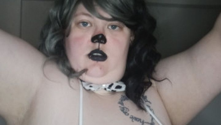 Gagged Swearing Cow